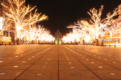 みなと大通り公園