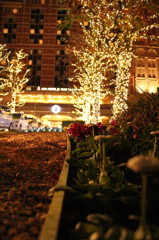 やさしい光に包まれて