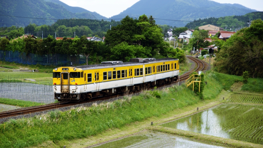 田園を走る