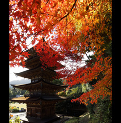 瑠璃光寺の秋