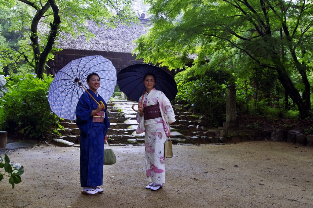 紫陽花寺に華が咲く