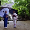 紫陽花寺に華が咲く