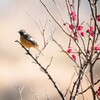 ハンサムボーイの横顔