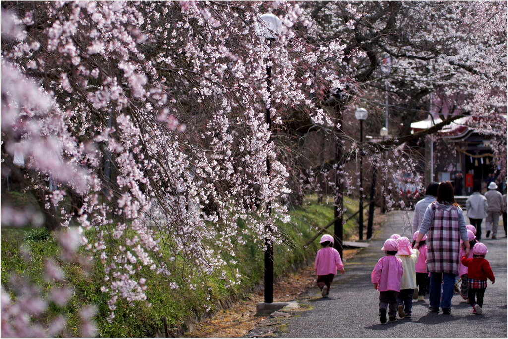 桜色の思い出