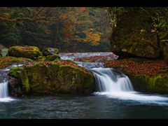 晩秋の菊池渓谷 11