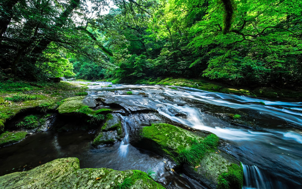 Green valleys