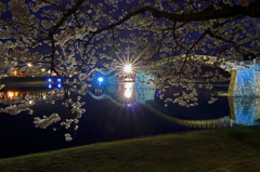 桜橋