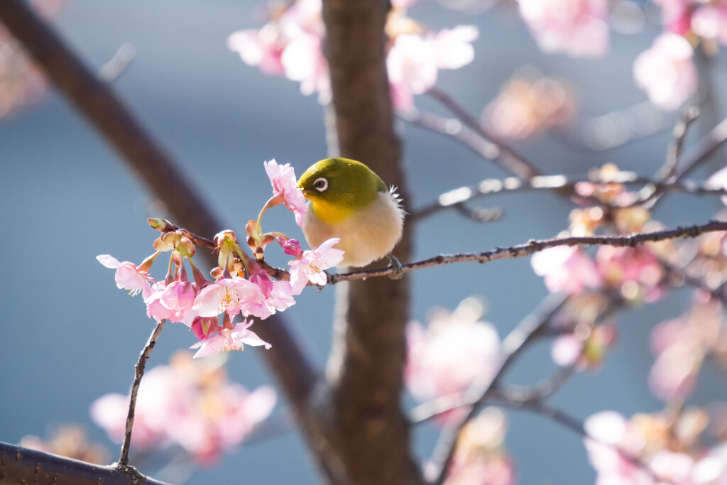 君に夢中
