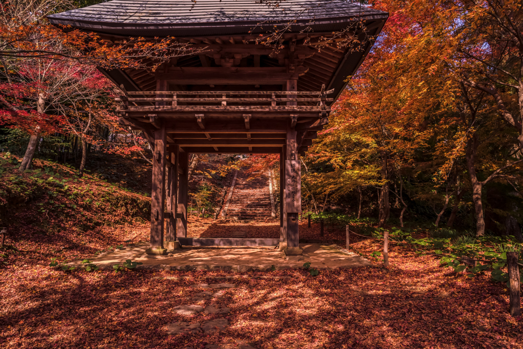 落ち葉の山門