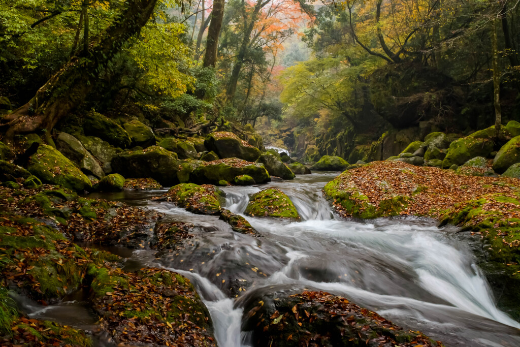 Valley autumn