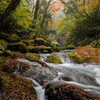 Valley autumn
