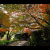 晩秋の周防阿弥陀寺
