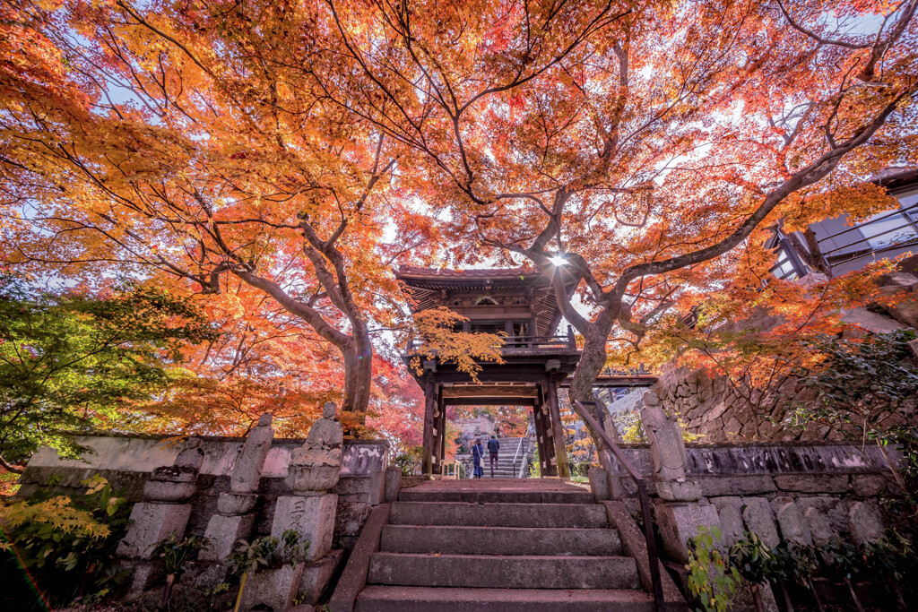 紅葉の山門 