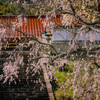 山寺の春 Ⅱ