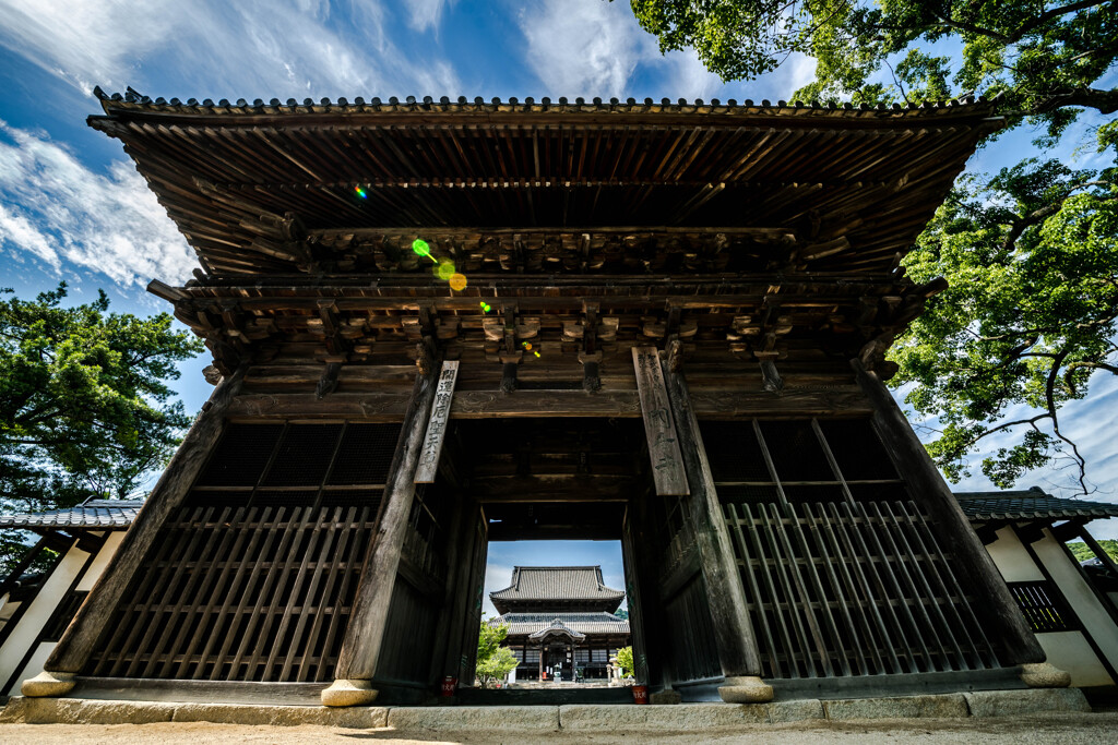 周防国分寺：仁王門 Ⅱ