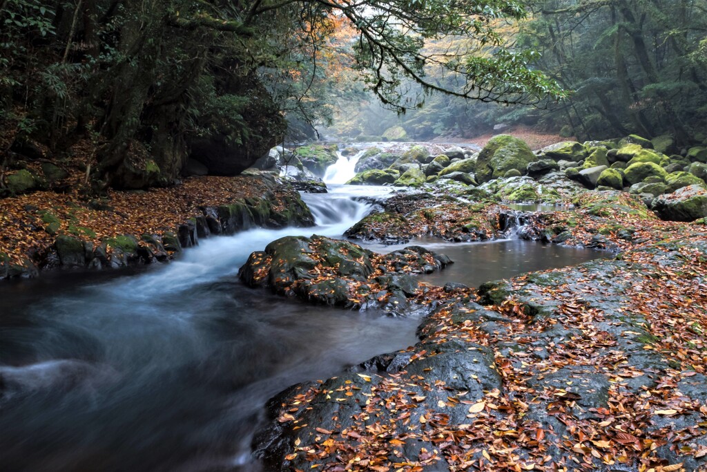 Valley autumnⅥ