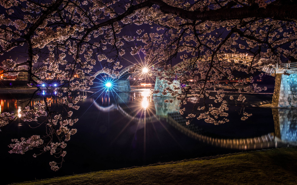 夜桜の錦帯橋