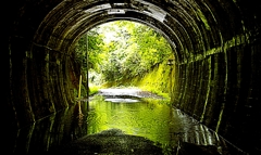 WAY EXIT