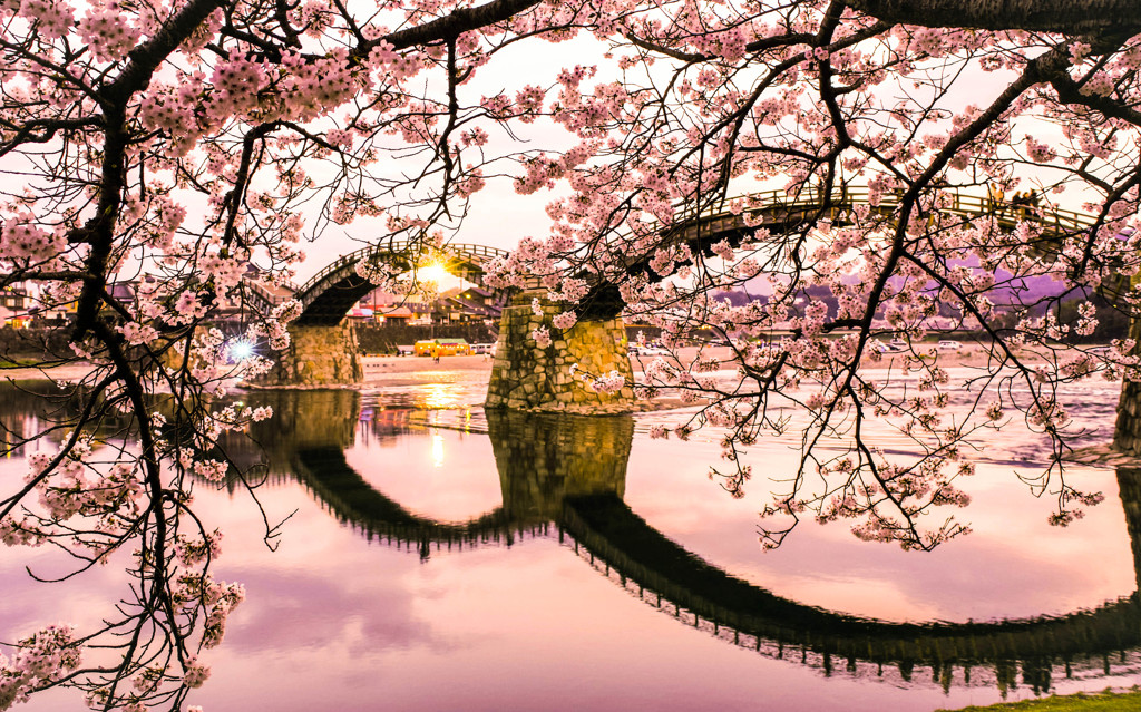 桜橋Ⅱ