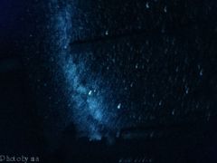 プラネタリウム