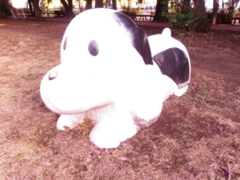 待ちぼうけ