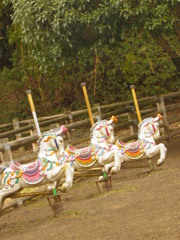 ZOO