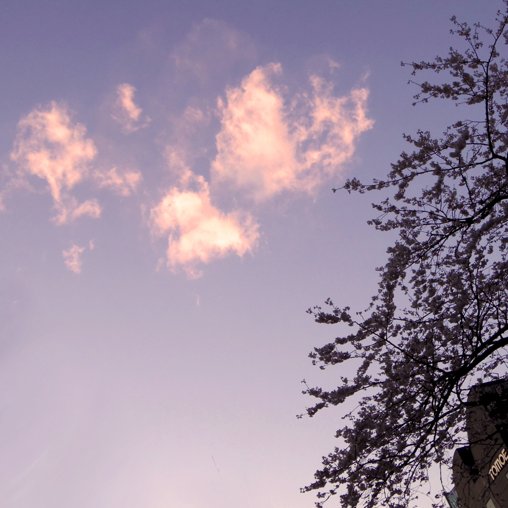 今様の空。