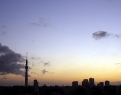 夜明け。