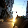 夕日に向かって。