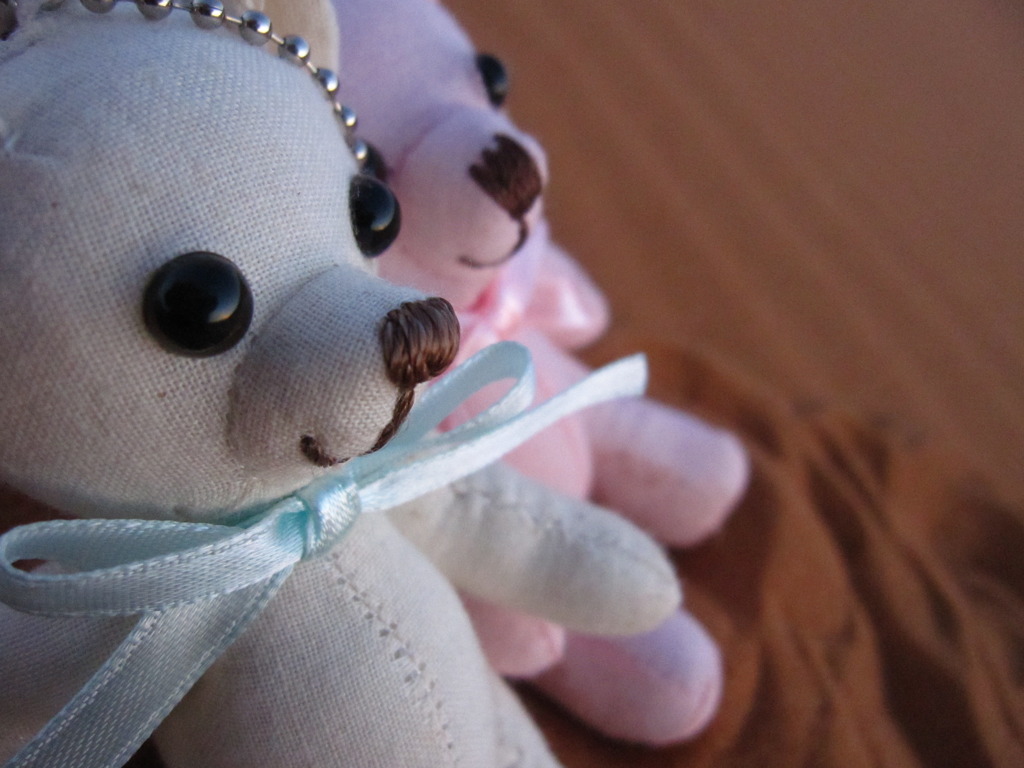 bears were looking at the sun too