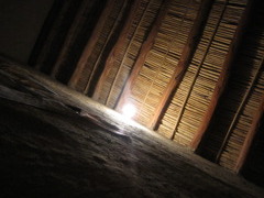 no idea what it was....