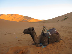 they were also sleeping