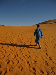 camels are waiting for you!