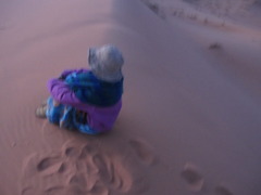 koyuki tan on the sahara