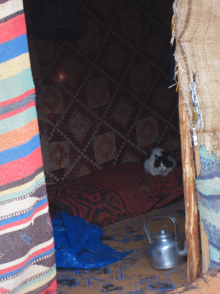 sabako in the berber kitchen