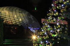 ドームとの対比