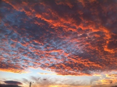 夕刻の空