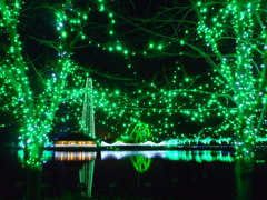 Green Illumination