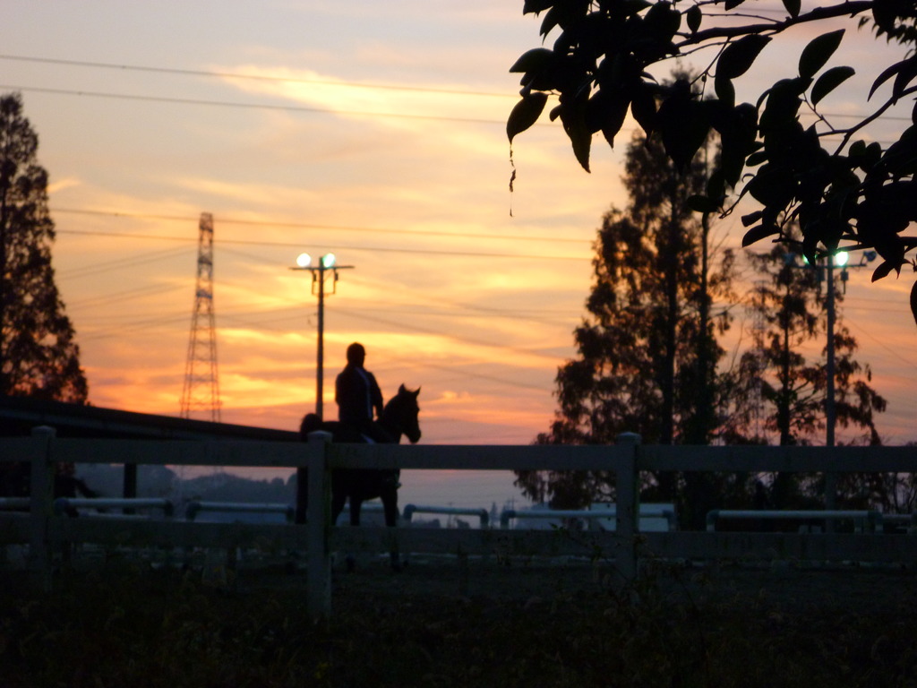 the winter sunset