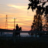 the winter sunset