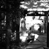 井の頭公園