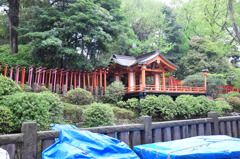 根津神社内乙女稲荷神社