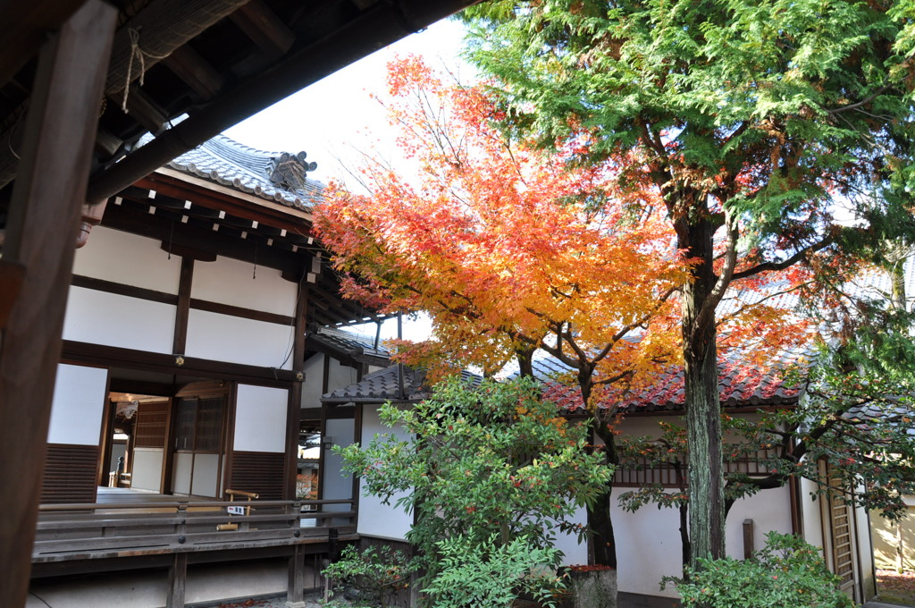 京都　高台寺散策