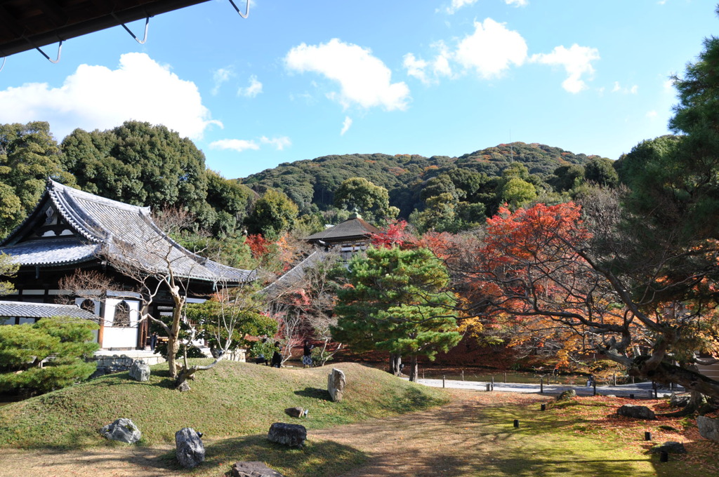 京都　高台寺散策