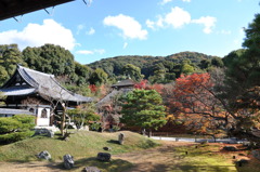 京都　高台寺散策