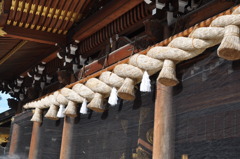 寒川神社のしめ縄