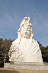 DSC_1034大船観音