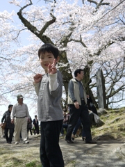 桜ぼーや