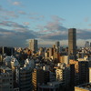 朝の光