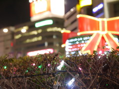 街の光